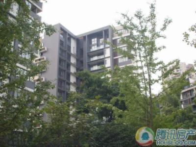 龙湖大城小院价格走势
