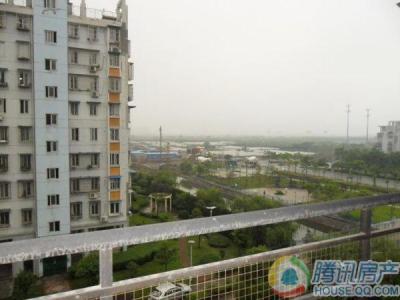 宁馨园价格走势