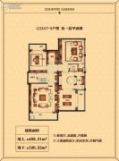 碧桂园天玺湾488平方米户型图