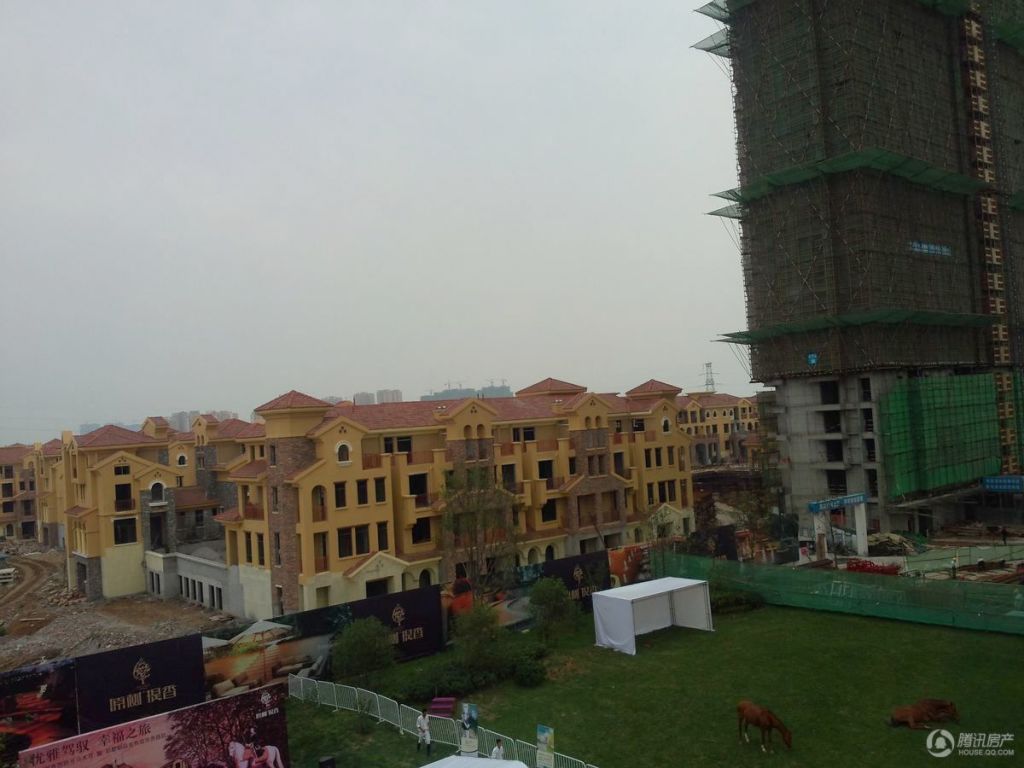 原树提香实景别墅万科别墅v实景图片