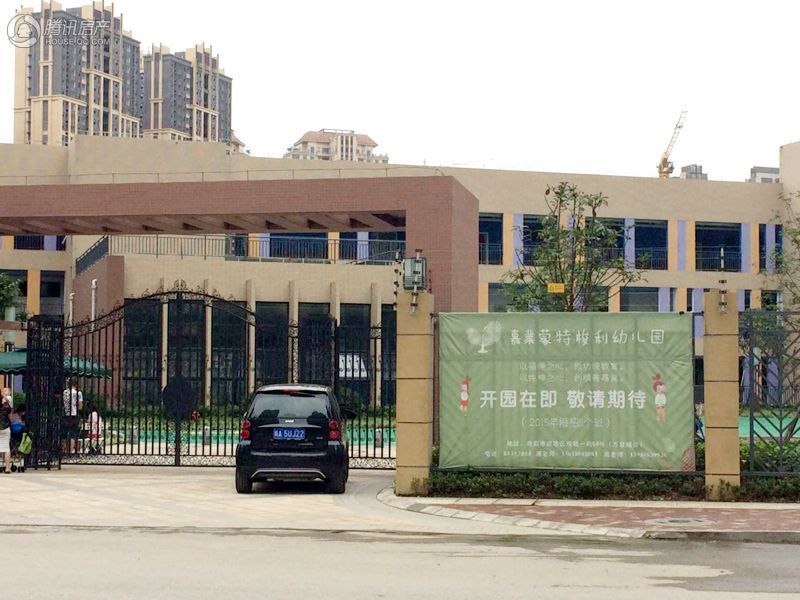 行字排行_江苏200万奔驰,尾部一行字惹怒众人,网友:真想撞上去