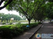 广地花园外景图