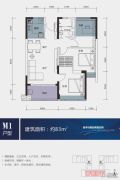 金地国际公寓2室2厅1卫0平方米户型图