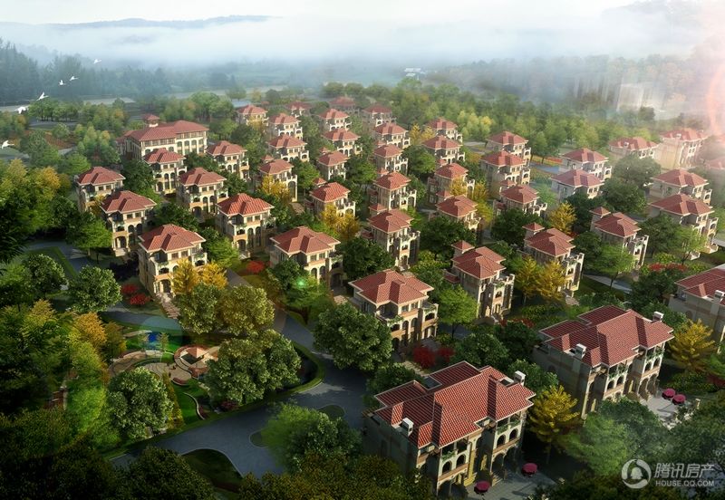 国瑞瑞府 别墅区鸟瞰图