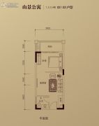 玉珑湾1室1厅1卫39平方米户型图