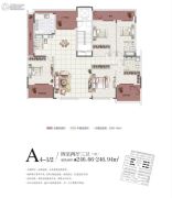 中信国安城4室2厅3卫246平方米户型图