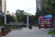 红星国际广场玫瑰天街实景图